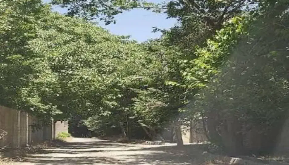 فروش زمین باغ ۱۰۰۰ متری در دوکوهک|فروش زمین و ملک کلنگی|شیراز, شهرک قمشه|دیوار