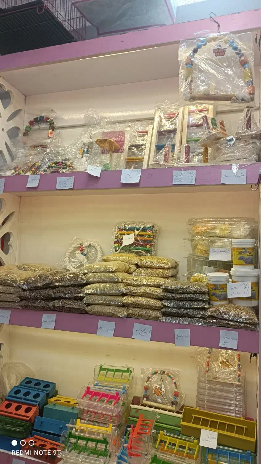 خانه پرندگان لاهیجان میدان جمهوری خیابان توحید|پرنده|لاهیجان, طالقانی|دیوار