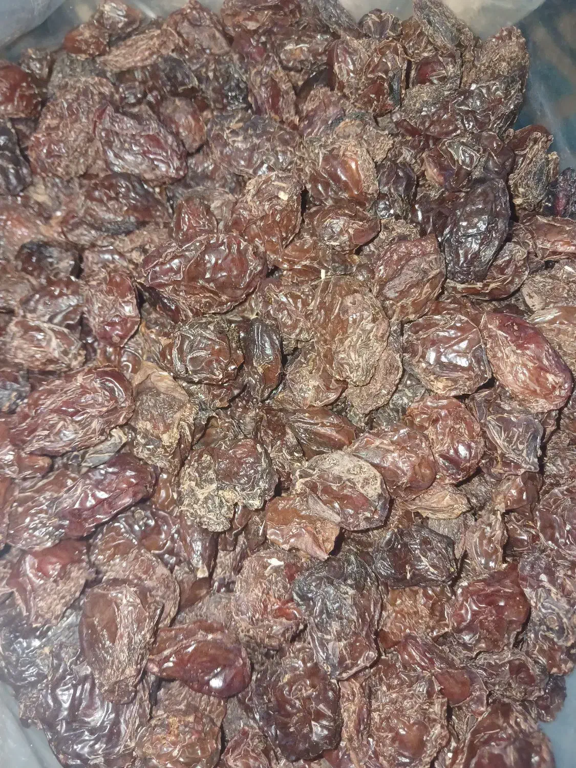 آلو بخارا بوانات|خوردنی و آشامیدنی|شیراز, دارالرحمه|دیوار