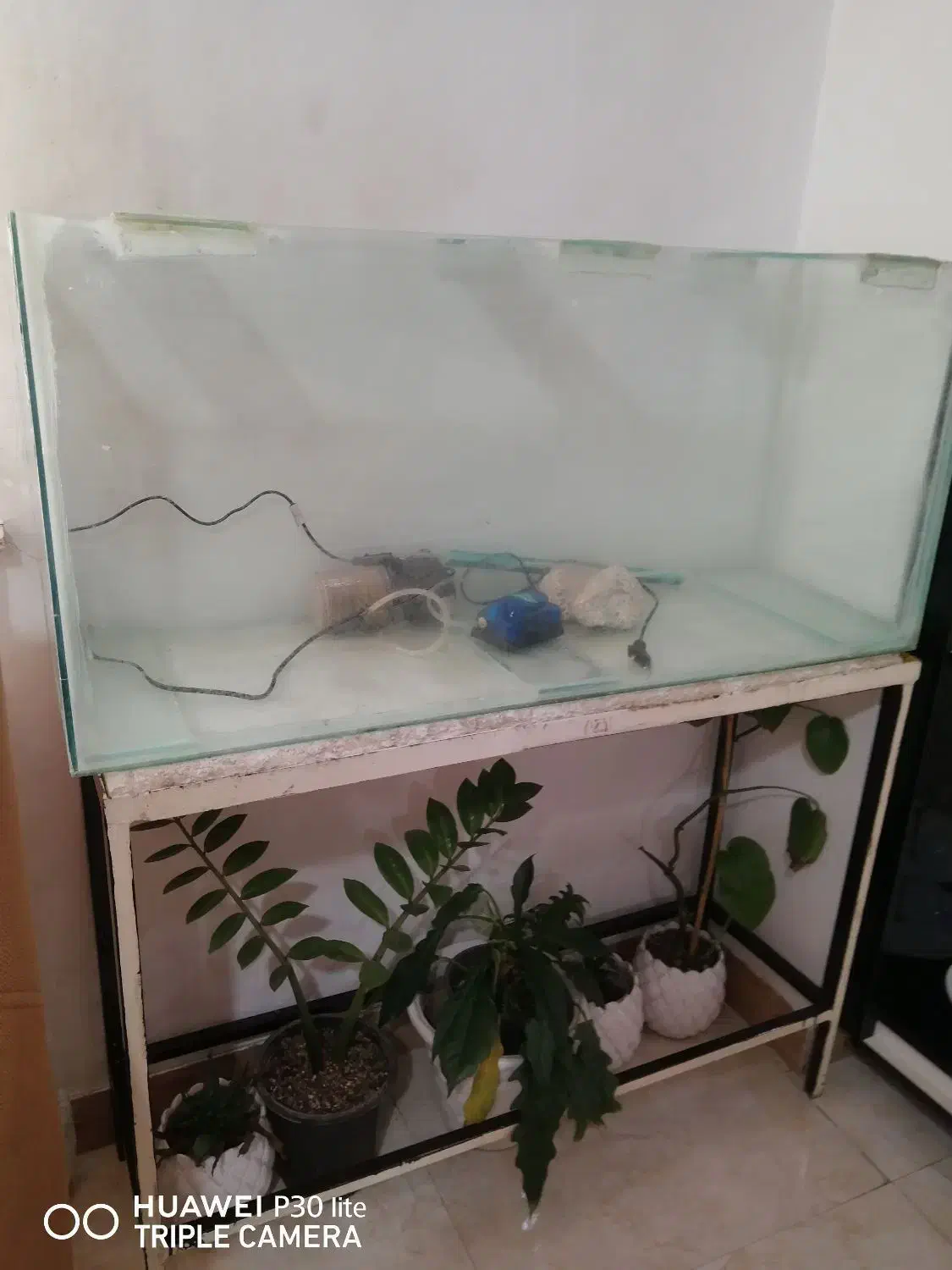 آکواریم با کلیه لوازم|ماهی|رشت, شهرک شهید مفتح|دیوار