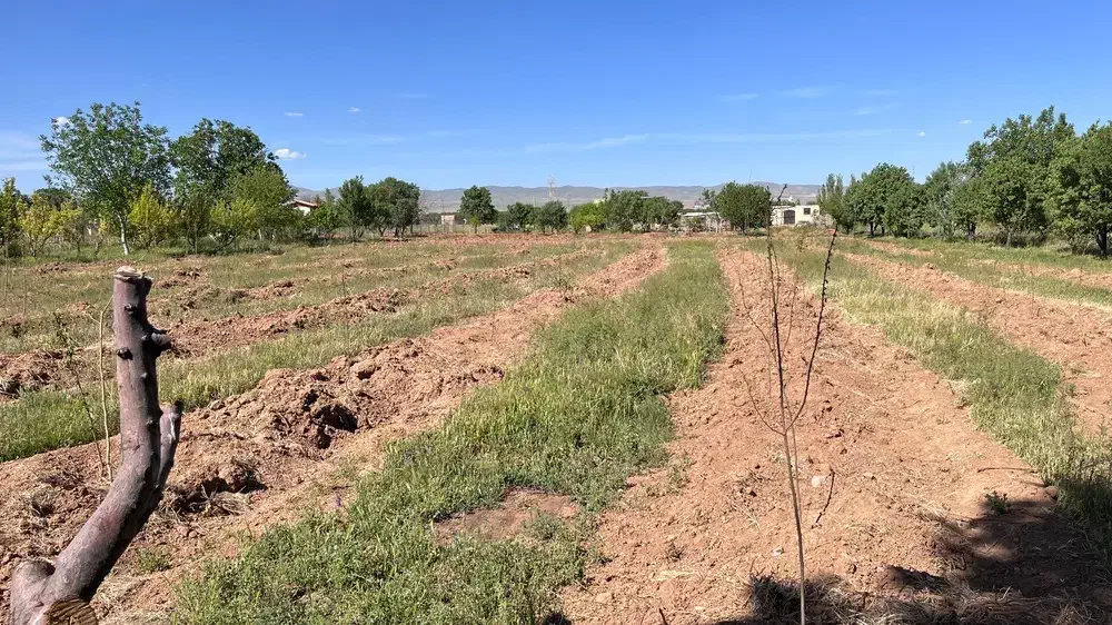 باغ درکهریز در متراژ مختلف|فروش زمین و ملک کلنگی|ابهر, |دیوار