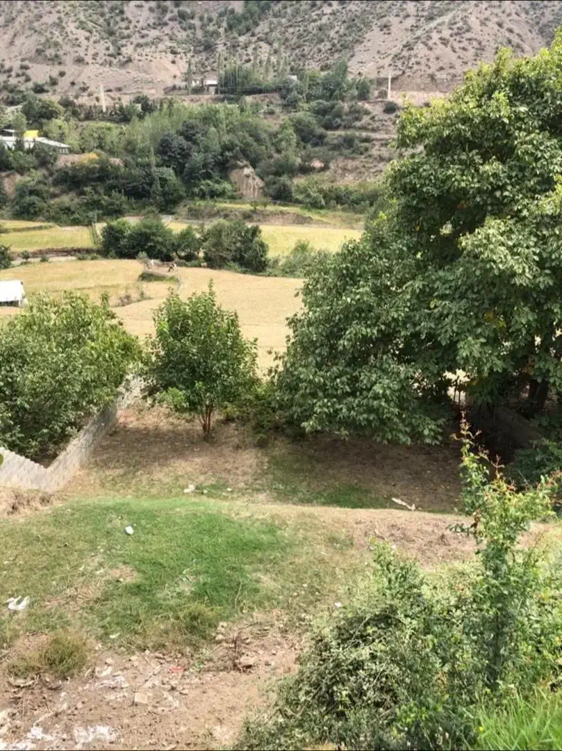 زمین در بهتربن منطقه سوادکوه|فروش زمین و ملک کلنگی|آلاشت, |دیوار