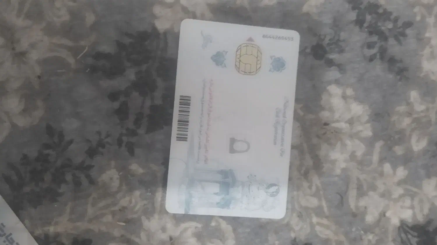 گواهی نامه رانندگی با اسم محراب فرخیانی گم شده|اشیا|یاسوج, |دیوار