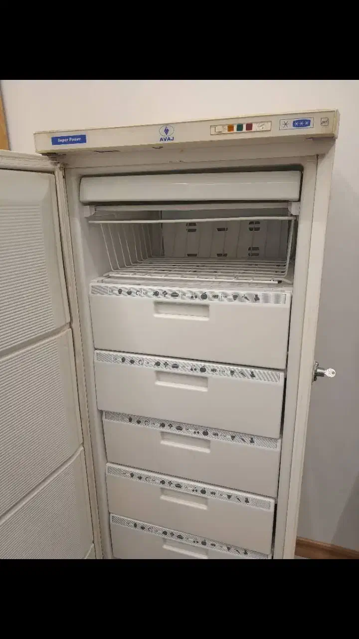 فریزر|یخچال و فریزر|شیراز, فرهنگ شهر|دیوار