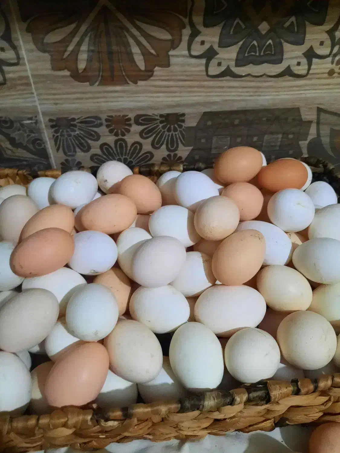 تخم مرغ بومی گلین|خوردنی و آشامیدنی|کاشان, فاز ۲ ناجی آباد|دیوار