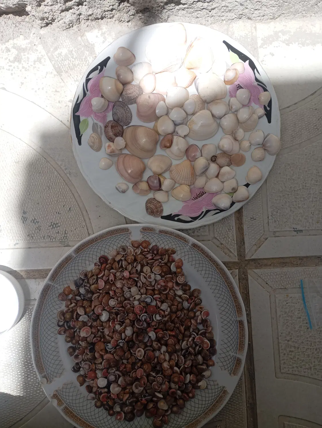 صدف|صنایع دستی و سایر لوازم تزئینی|الیگودرز, |دیوار