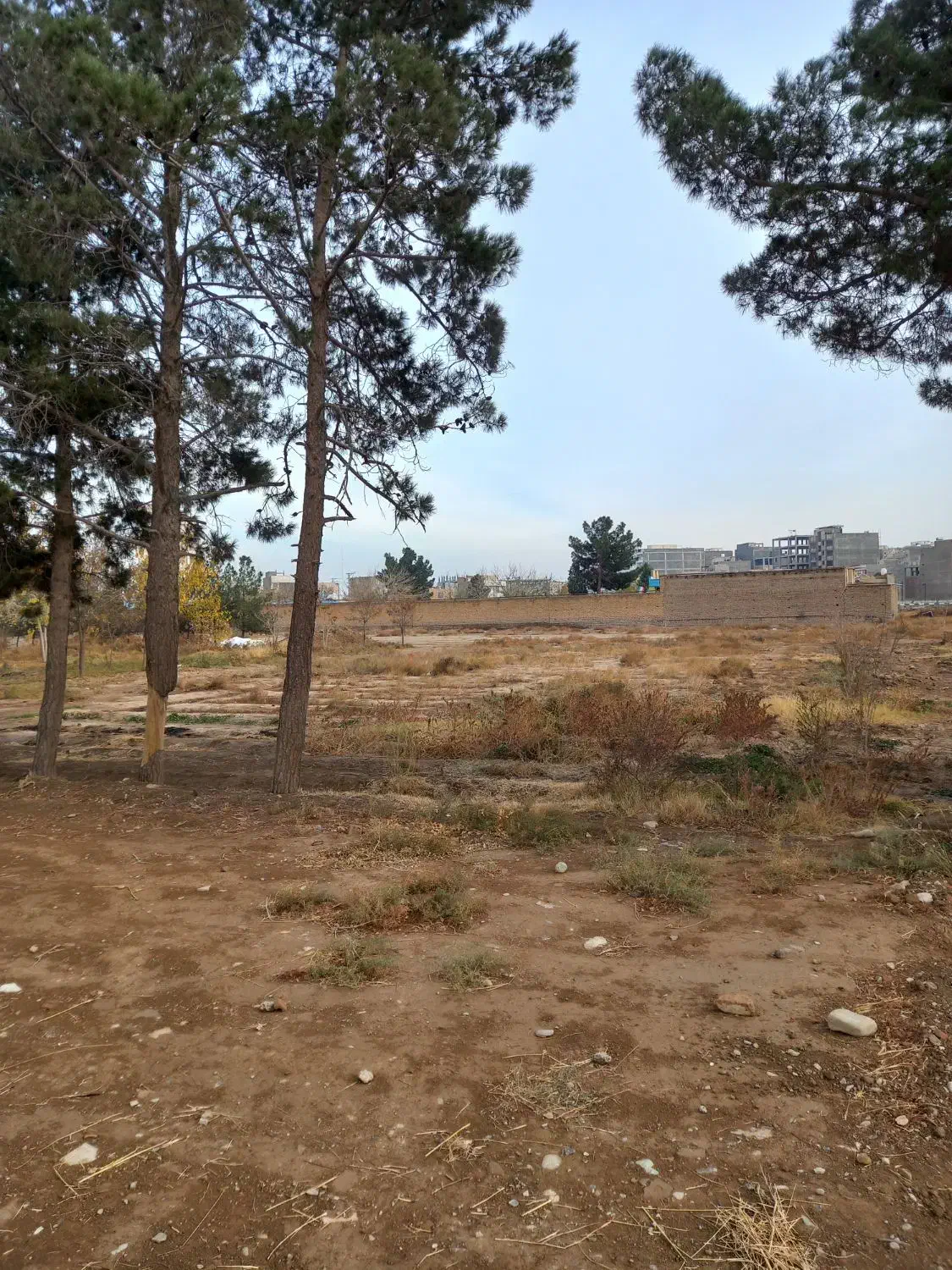 زمین باغچه|فروش زمین و ملک کلنگی|اسلام‌شهر, شهرک طالقانی|دیوار