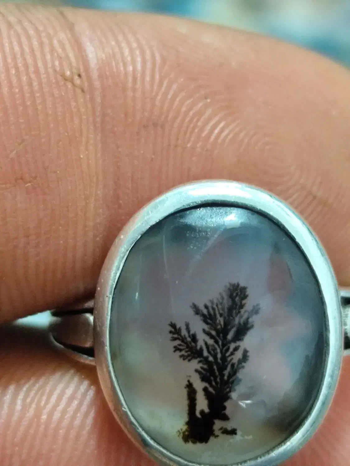 انگشتر شجر|کلکسیون و سرگرمی|کرمانشاه, |دیوار