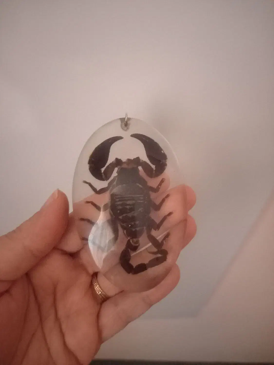 گیرنده دیجیتال|سیستم صوتی خانگی|سبزوار, امیریه|دیوار