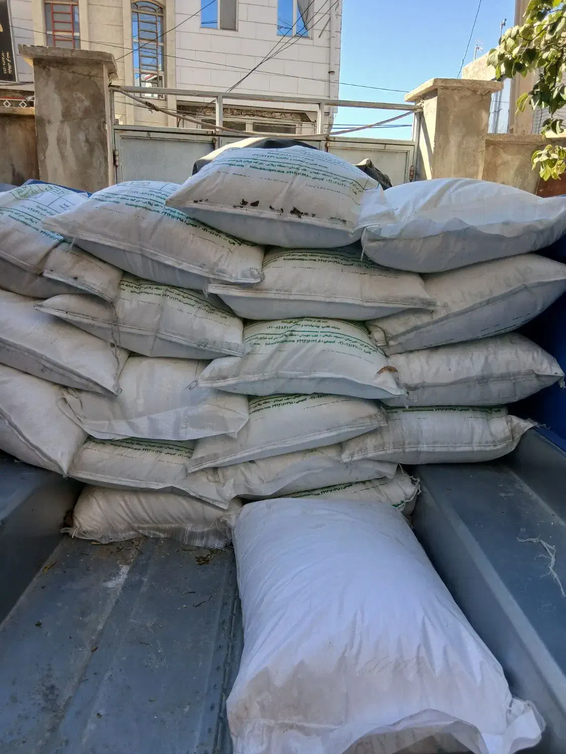 کود|خدمات باغبانی و درختکاری|خزل, |دیوار