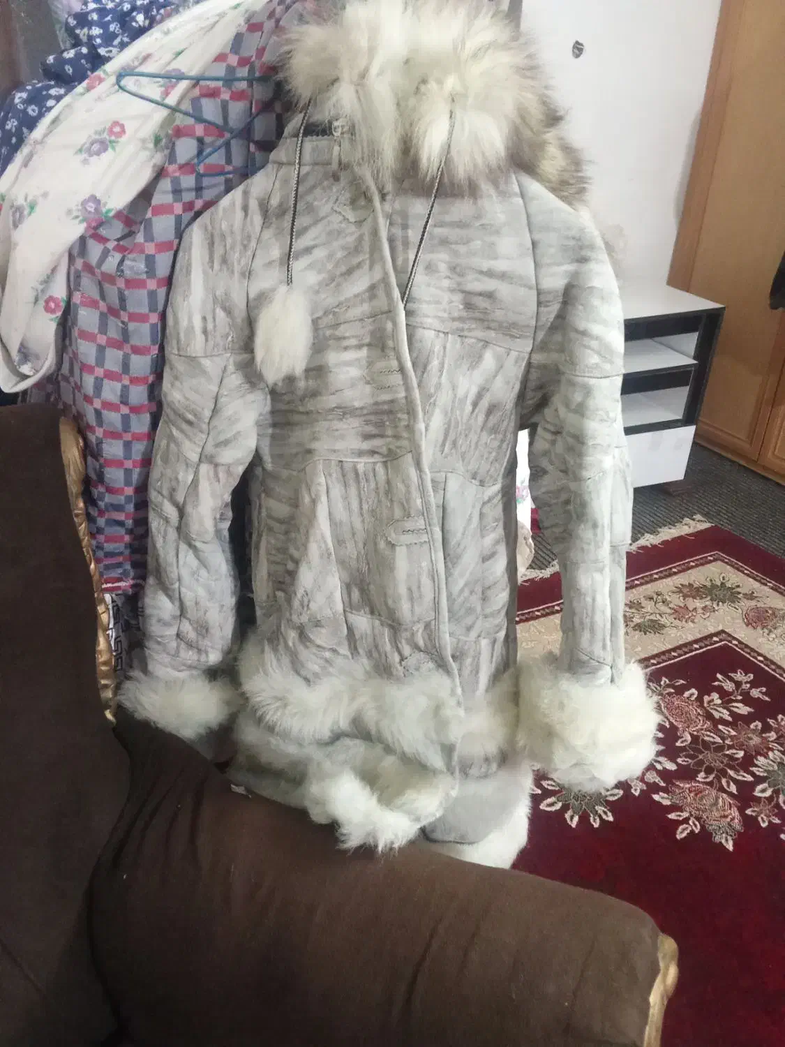 پالتو خارجی|لباس|گرگان, |دیوار