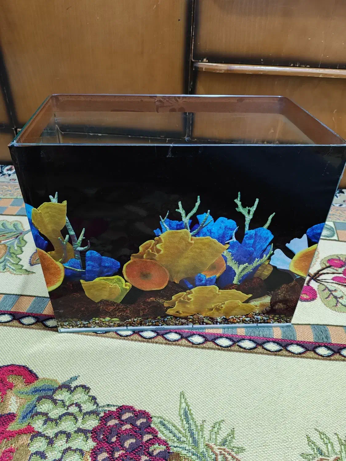 اکواریوم|ماهی|پاکدشت, پاکدشت (مامازند)|دیوار