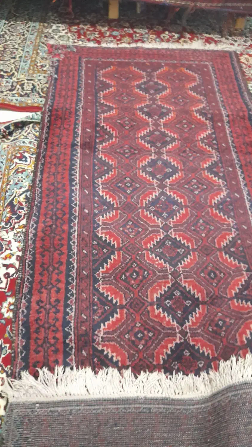 فرش دستباف|فرش|مشهد, طبرسی شمالی|دیوار