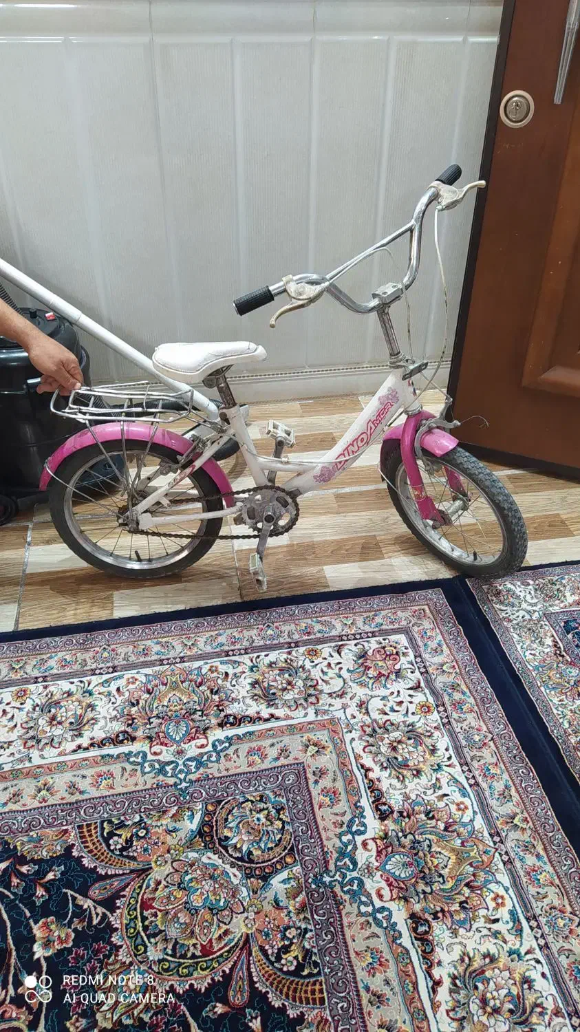 دوچرخه|دوچرخه، اسکیت، اسکوتر|قم, نخودی|دیوار