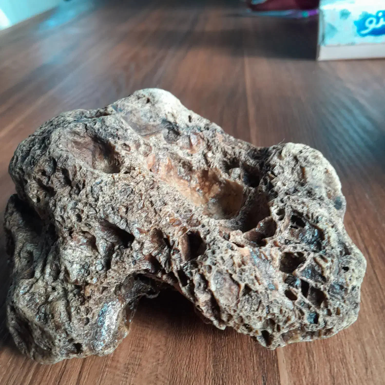 سنگ کلکسیونی آذرین|کلکسیون اشیاء عتیقه|آستانه اشرفیه, |دیوار