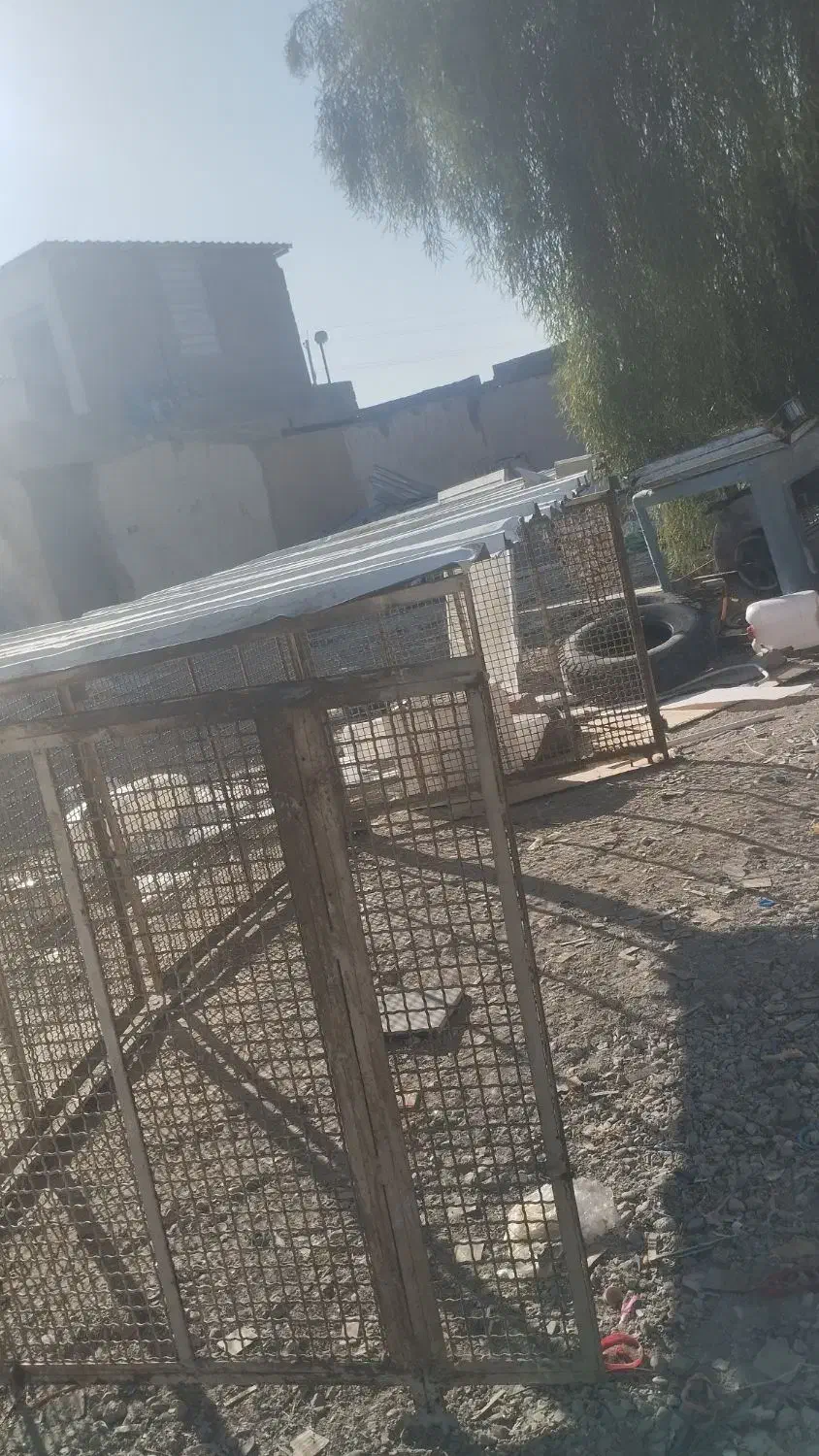 قفس|لوازم جانبی حیوانات|جهرم, |دیوار