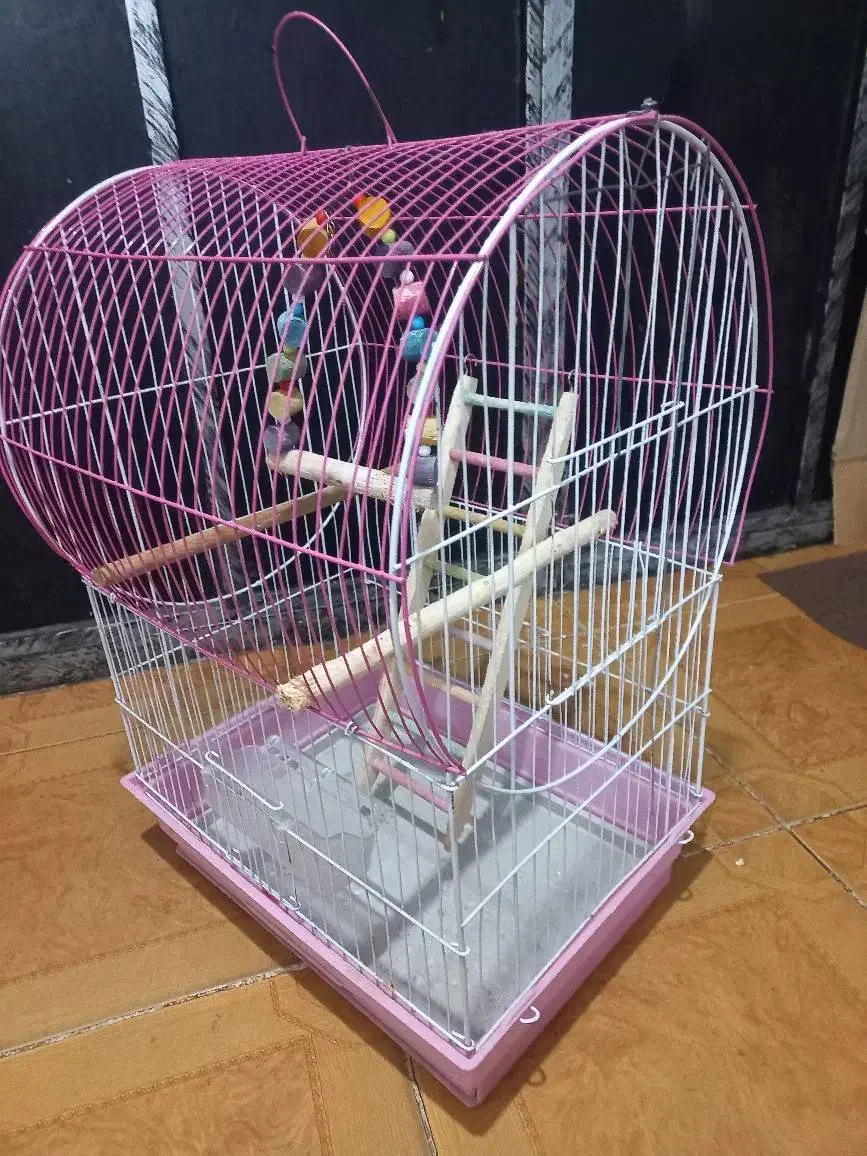 قفس پرنده|لوازم جانبی حیوانات|رشت, معلولین|دیوار