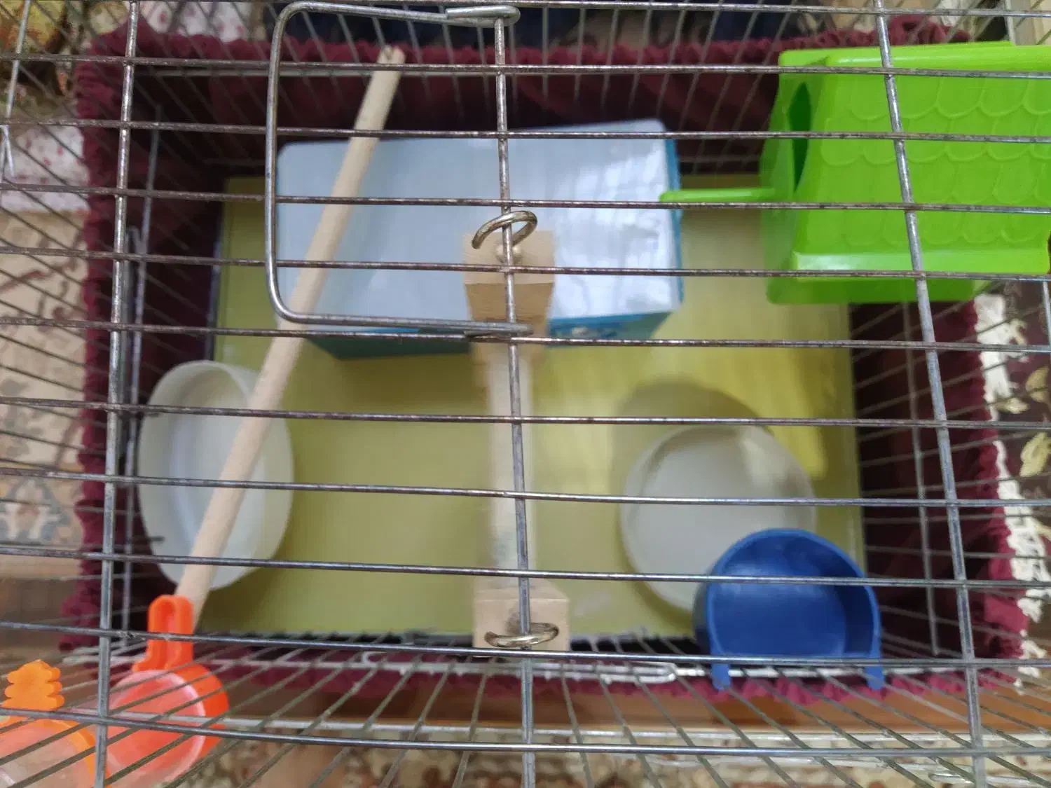 قفس پرنده|لوازم جانبی حیوانات|شاهین‌شهر, گرگاب|دیوار