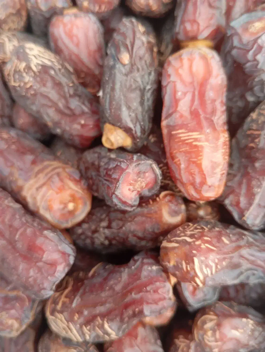 خرما پیارم امسالی گوشتی تازه نرم|خوردنی و آشامیدنی|یزد, |دیوار