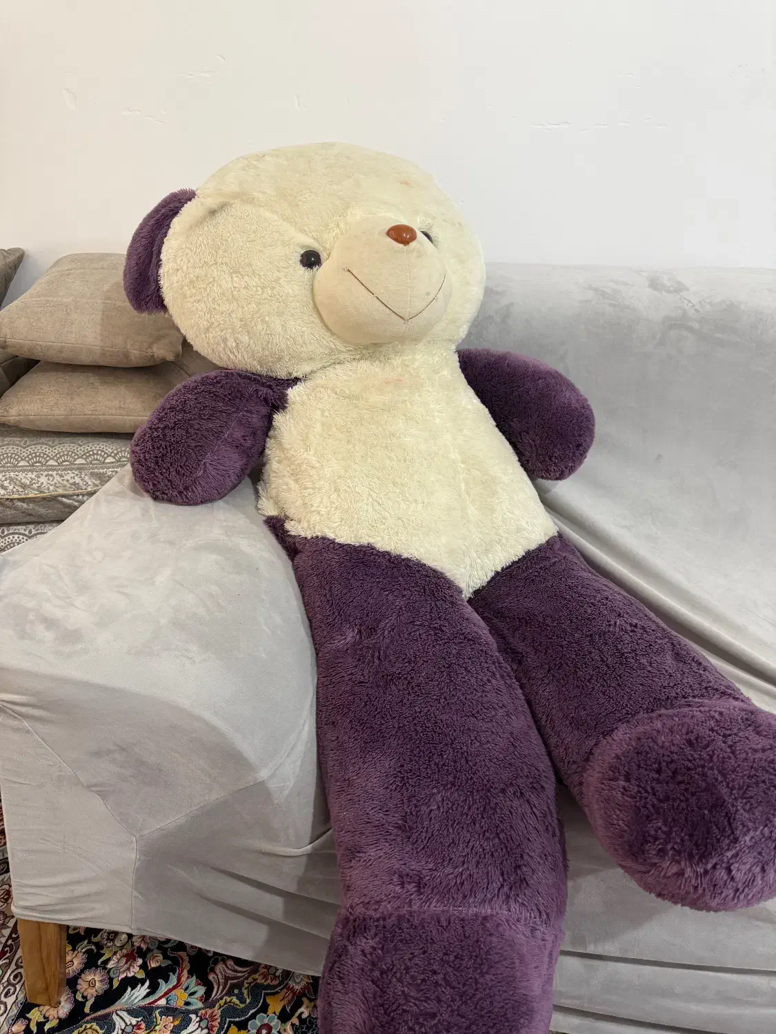 خرس شاسخین|اسباب‌‌بازی|مرودشت, تامین اجتماعی‎|دیوار