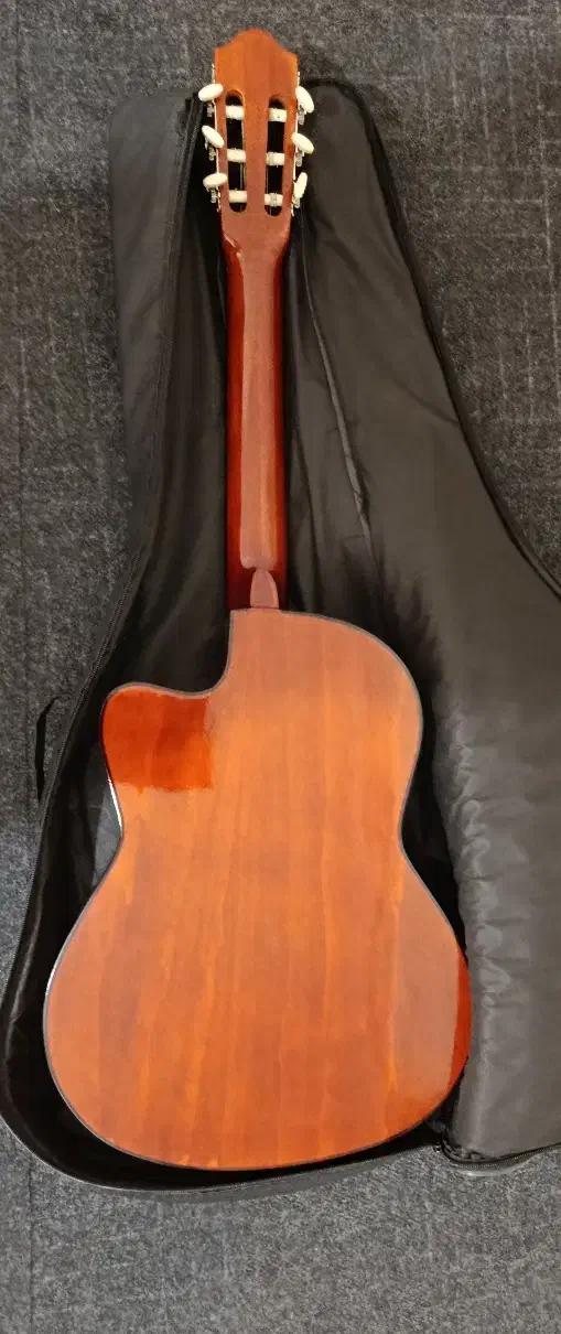 گیتار طرح یاماها c80|گیتار، بیس، امپلیفایر|بندرعباس, |دیوار