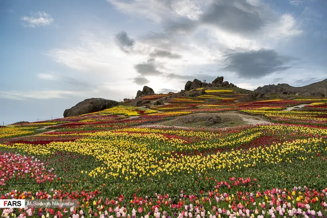 باغ|فروش زمین و ملک کلنگی|آسارا, |دیوار