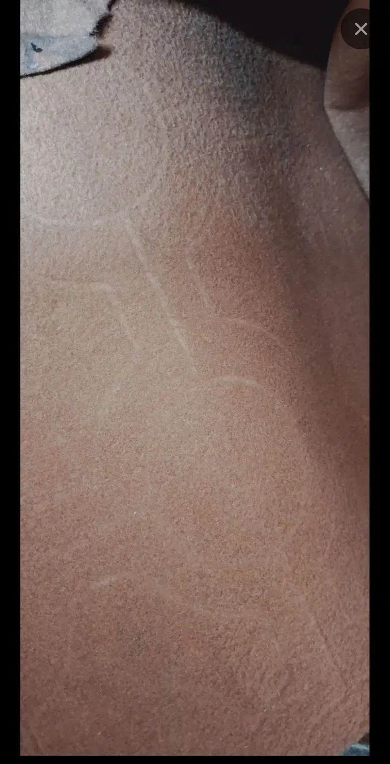 موکت ۲۴ متر و۱۲متر|موکت|تایباد, |دیوار