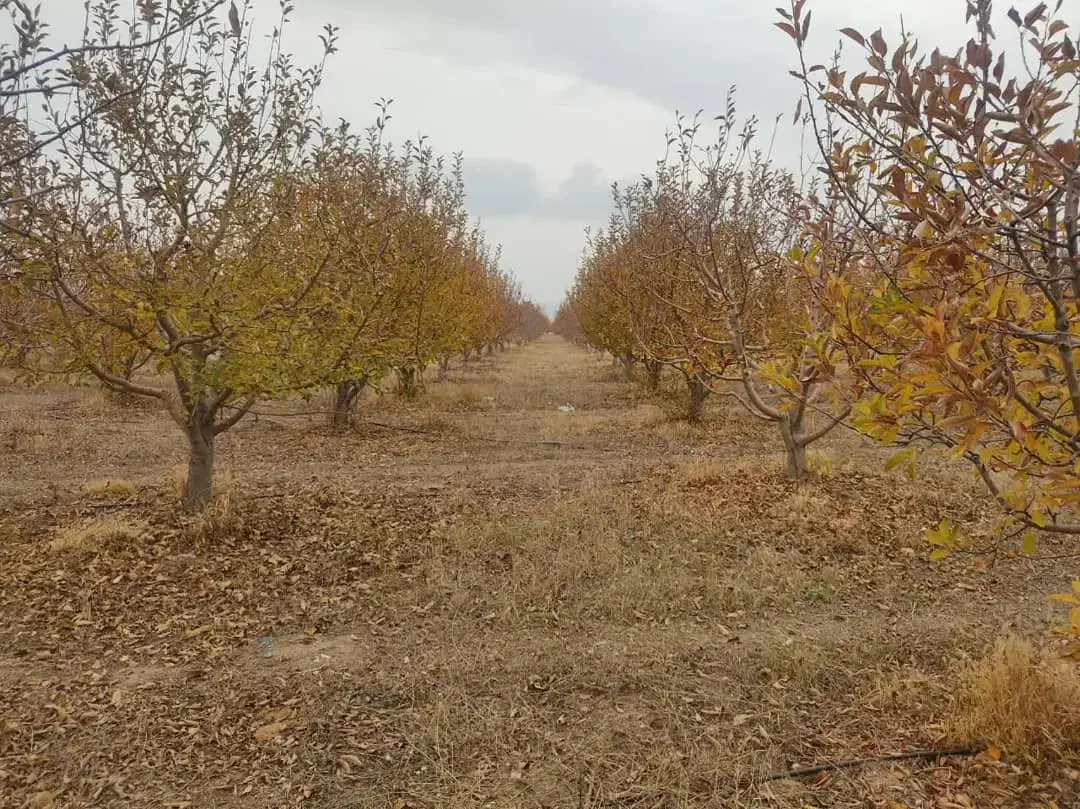باغ قطره‌ای بالاتر از کمربندی نزدیکی ایستگاه گاز|فروش دفتر صنعتی، کشاورزی، تجاری|اهر, |دیوار