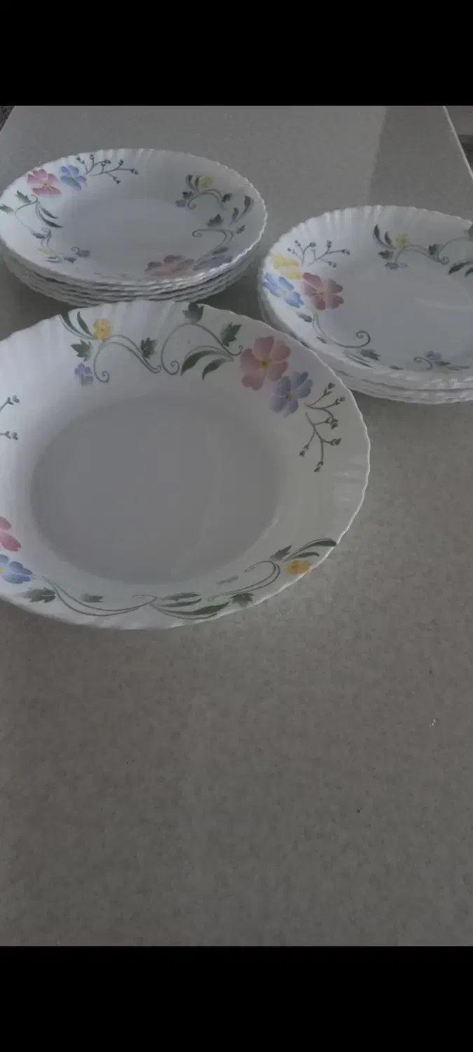 ظروف پذبرایی|ظروف سرو و پذیرایی|فردیس, منظریه|دیوار