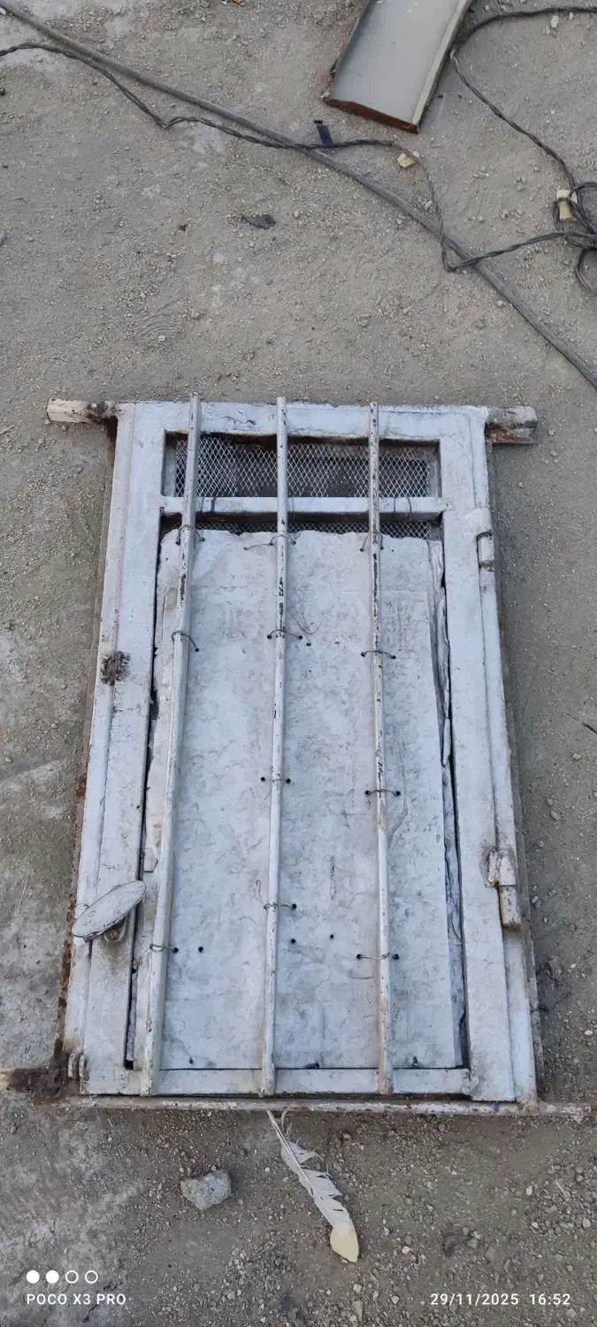 در کله کفتر|لوازم جانبی حیوانات|بروجرد, |دیوار