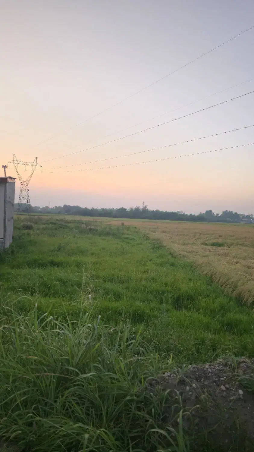 ۱۳۰۰متر زمین شهری لولمان فقط متری یک میلیون|فروش زمین و ملک کلنگی|لولمان, |دیوار