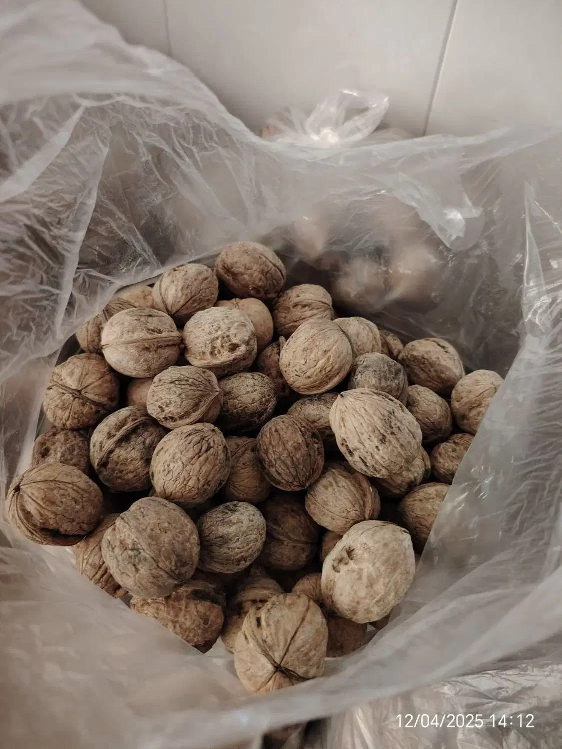 گردو مشهد با کیفیت و تازه|خوردنی و آشامیدنی|اهواز, کوی سعدی|دیوار