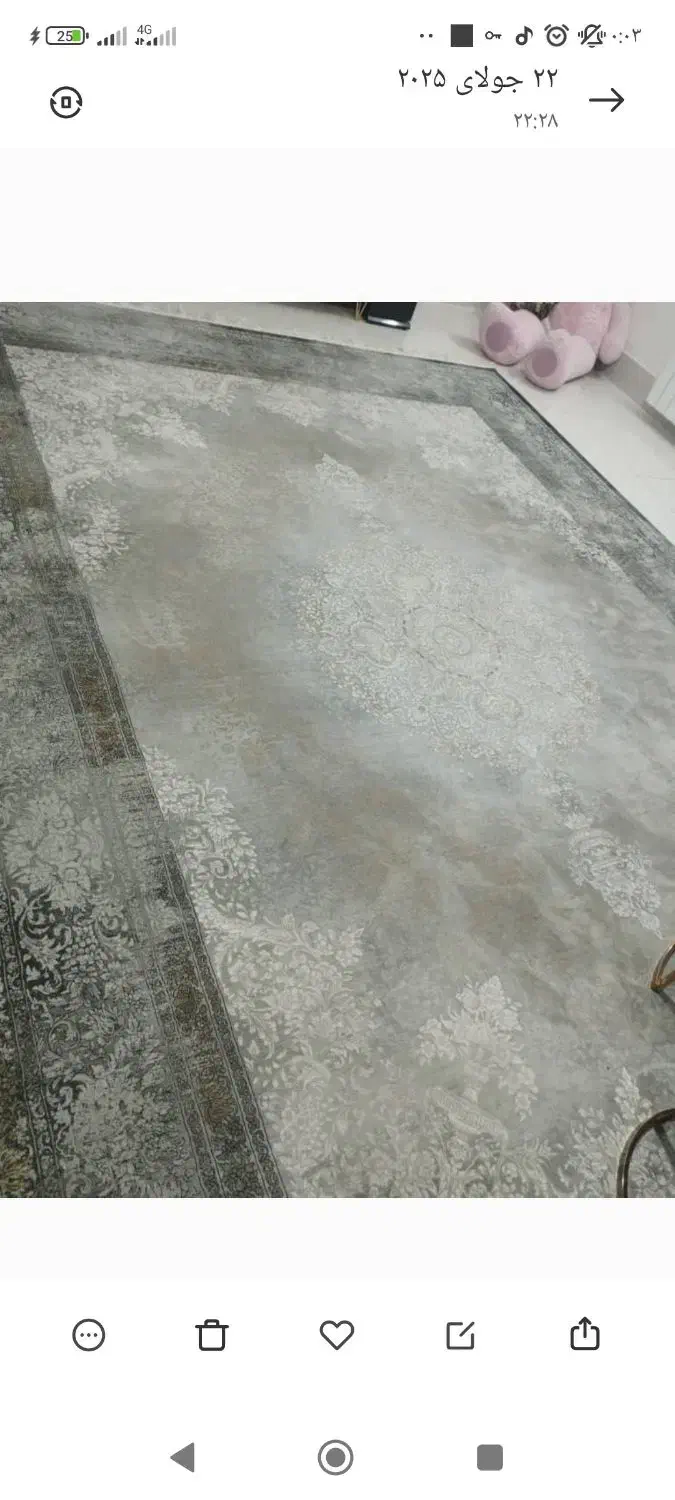 فرش۱۲متری|فرش|سبزوار, قلعهنو دهزار|دیوار