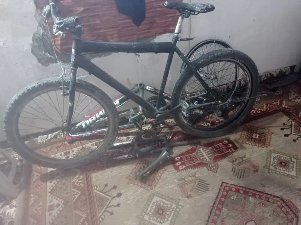 دوچرخه دو تنه|دوچرخه، اسکیت، اسکوتر|کهنوج, |دیوار