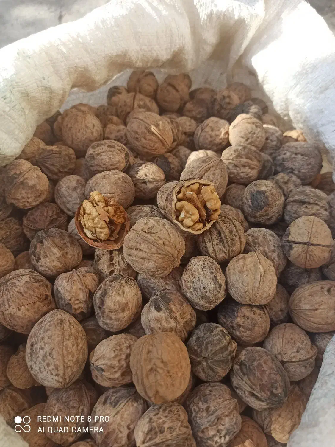 گردو|خوردنی و آشامیدنی|گنبد کاووس, |دیوار