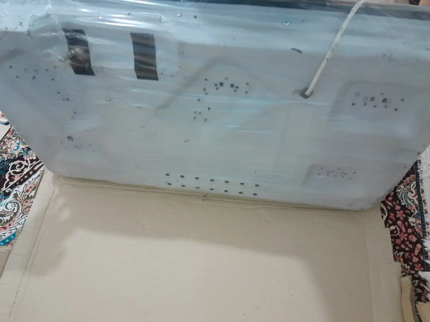 اجاق گاز صفحه ای بوش|اجاق گاز و لوازم برقی پخت‌وپز|مرند, |دیوار