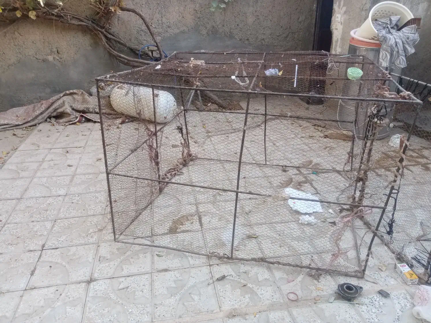 قفس پرنده بزرگ|لوازم جانبی حیوانات|تربت‌حیدریه, حیدرآباد|دیوار