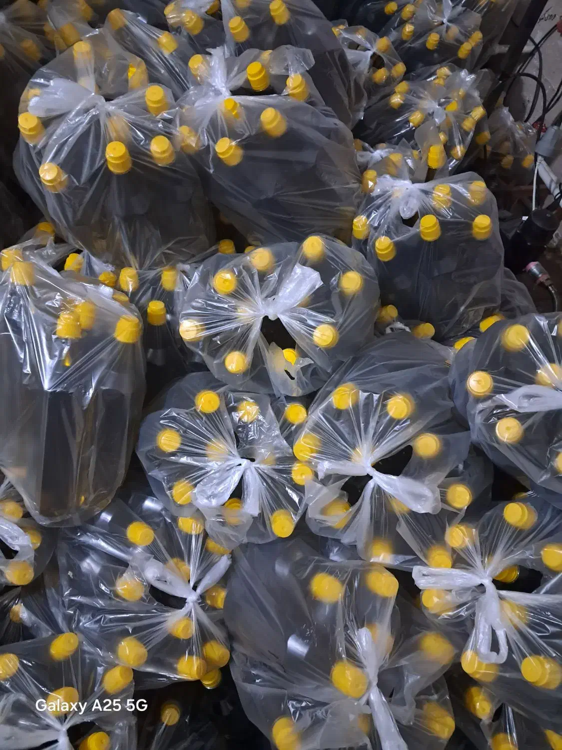 روغن های خوراکی ودرمانی به قیمت عمده|خوردنی و آشامیدنی|قم, انسجام|دیوار