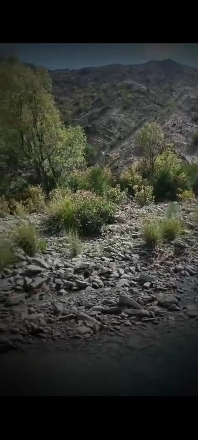 اجاره چاه آب کشاورزی ،سندرک.بالای بخشداری|خدمات باغبانی و درختکاری|سندرک, |دیوار