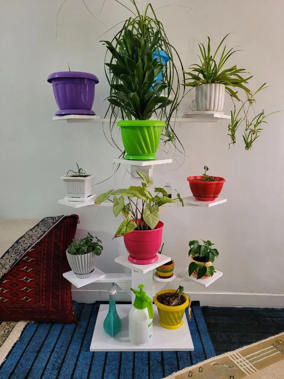 دکوری|صنایع دستی و سایر لوازم تزئینی|تربت‌حیدریه, آسایش|دیوار