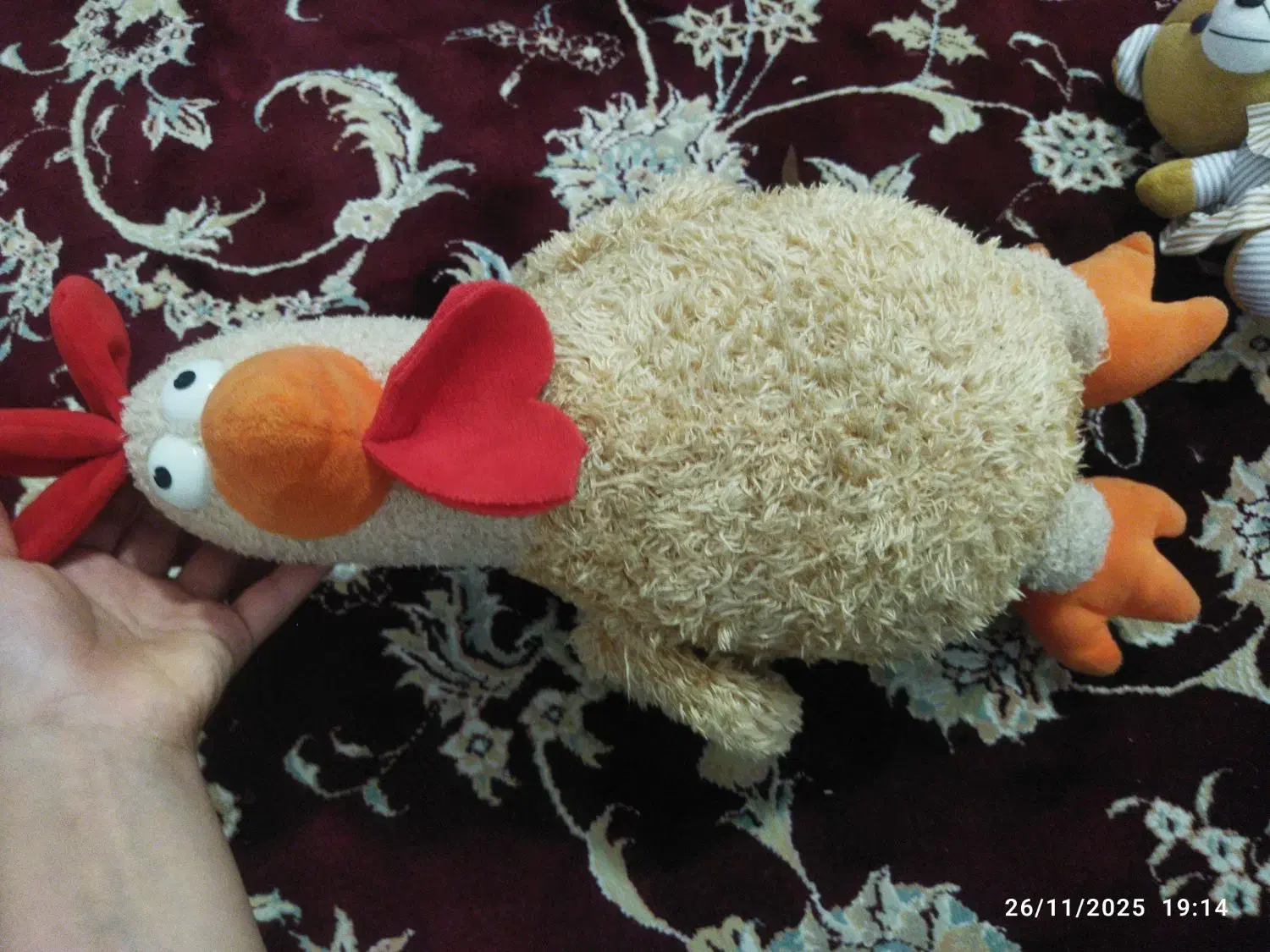 تعدادی عروسک|اسباب‌بازی بچه|رودهن, |دیوار