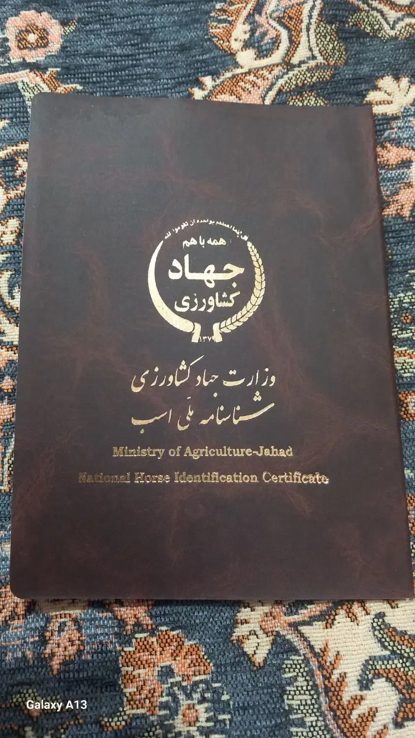 فروش اسب نژاد کرد .از لاین سهراب جعفری  سه ساله|اسب و تجهیزات اسب‌سواری|اسدآباد, |دیوار