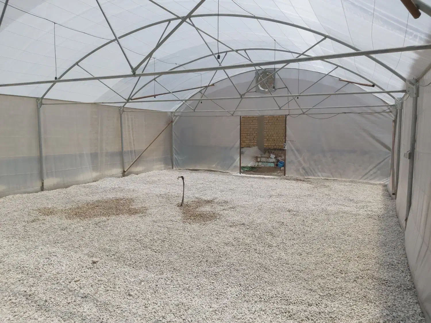 اجاره گلخانه جهت فروش گل و گلدان و نهالستان|اجارهٔ دفتر صنعتی، کشاورزی، تجاری|مرودشت, فاز دوم شهرک فرهنگیان|دیوار