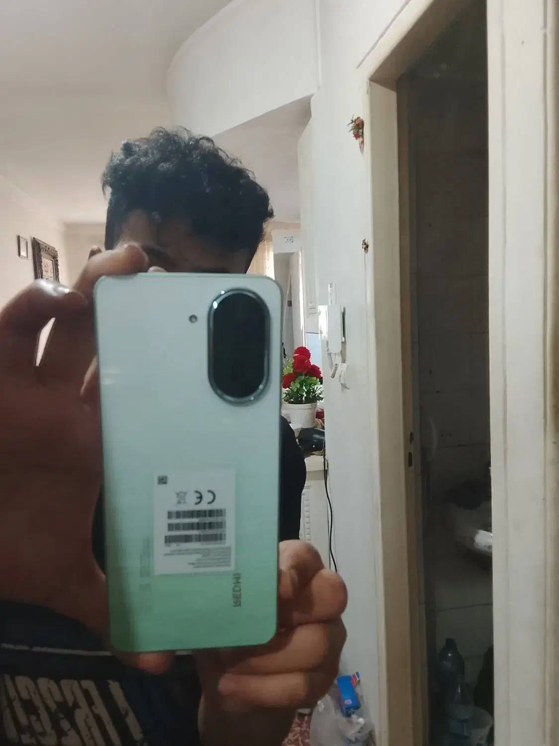 شیامی سبزکمیاب نوهست فقط سیم توش بوده چندروز|موبایل|تهران, شهرک بعثت|دیوار