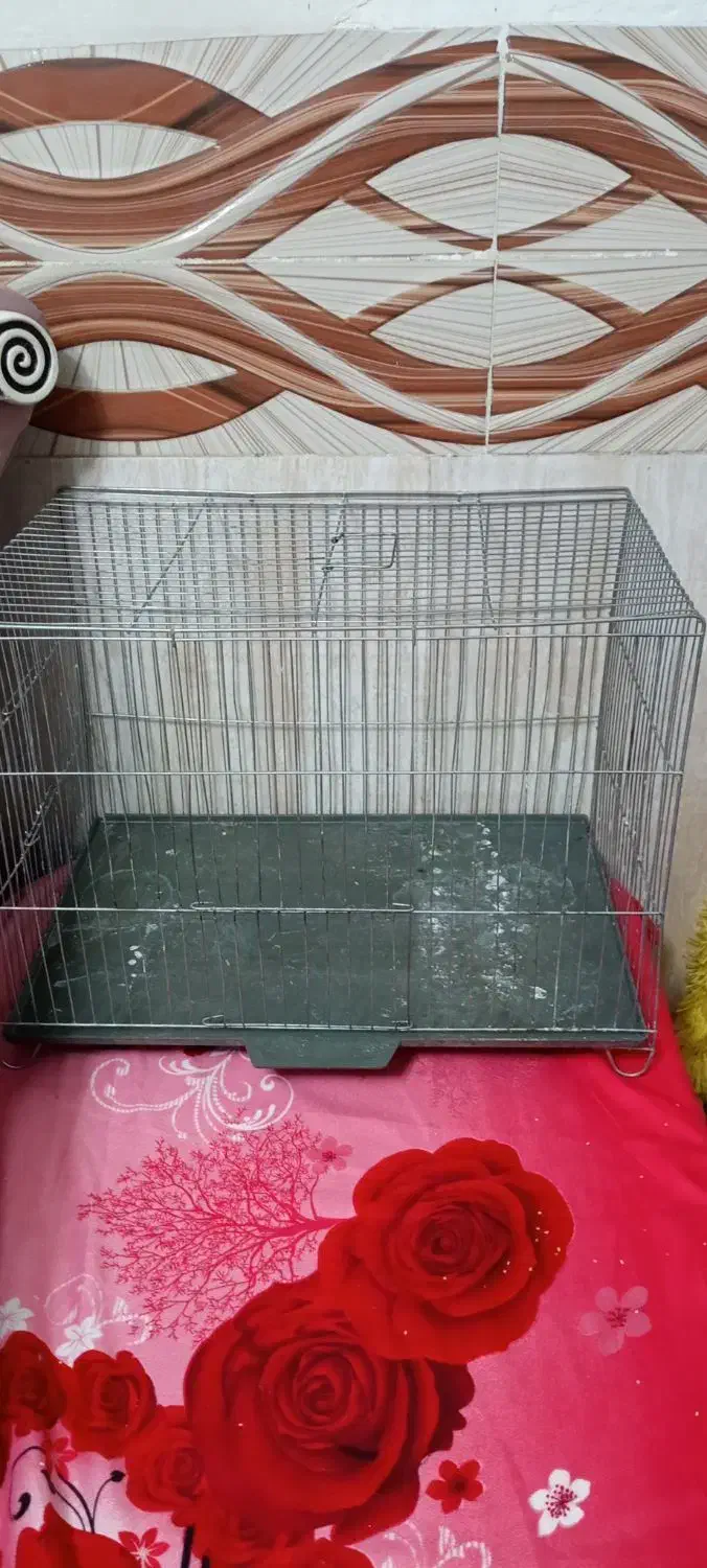 قفس پرنده|لوازم جانبی حیوانات|بومهن, |دیوار