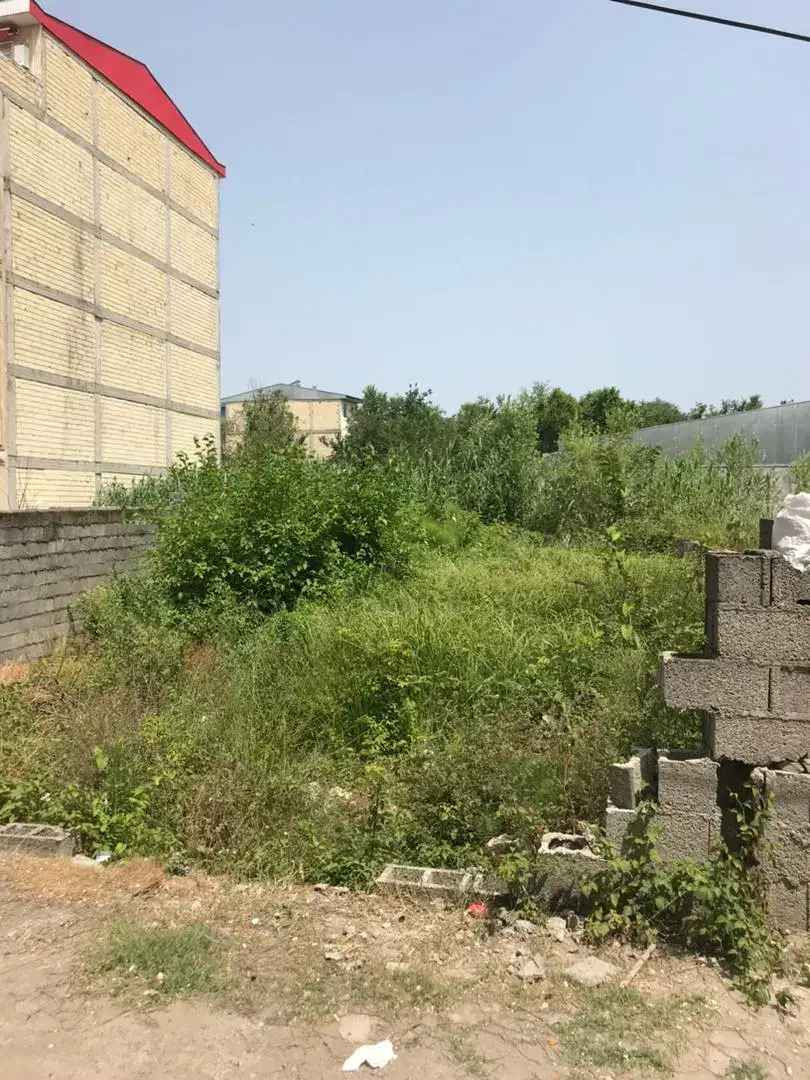 فروش زمین|فروش زمین و ملک کلنگی|رشت, کوی حسینی|دیوار