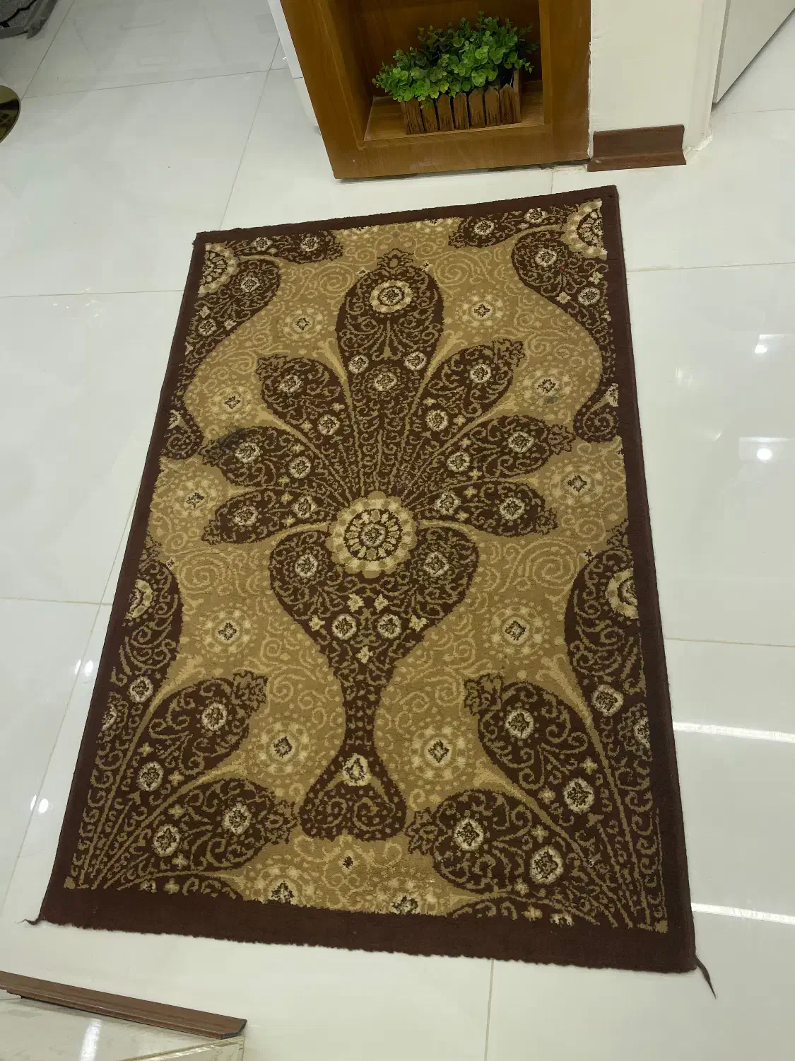 یک جفت فرش یک دریکونیم پرشین|فرش|مشهد, هفت تیر (نه دره)|دیوار