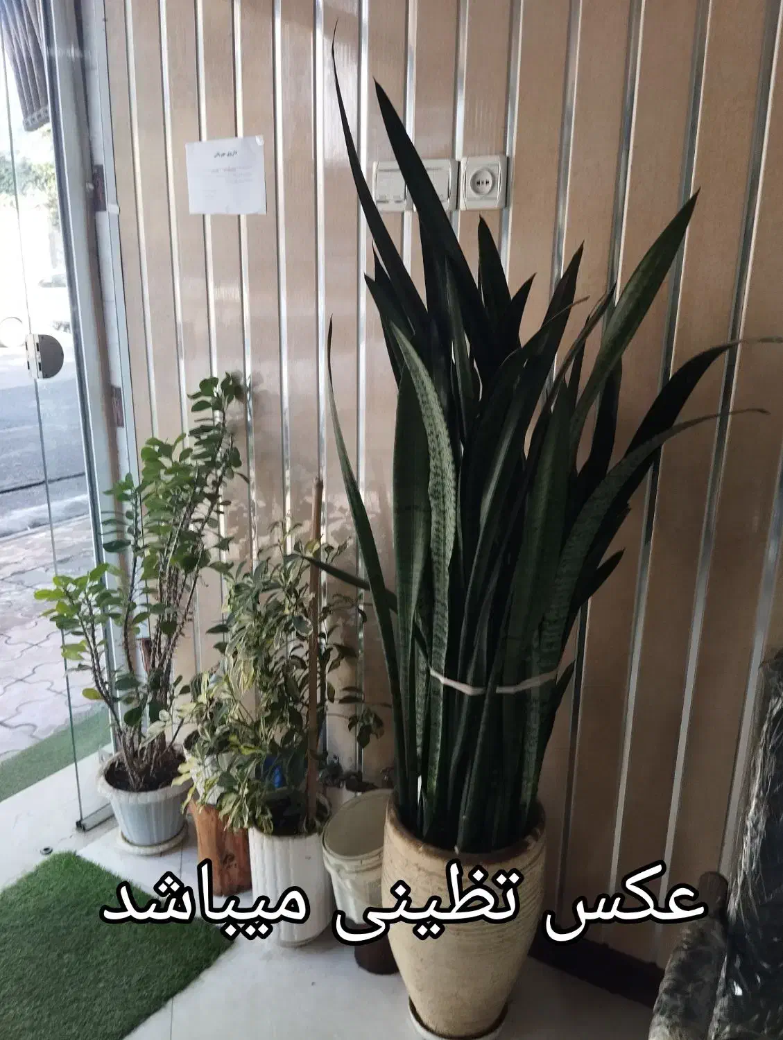 رهن کامل آپارتمان خ فیاض سه طبقه سه واحد ط سوم|اجارهٔ آپارتمان|لاهیجان, فیاض|دیوار