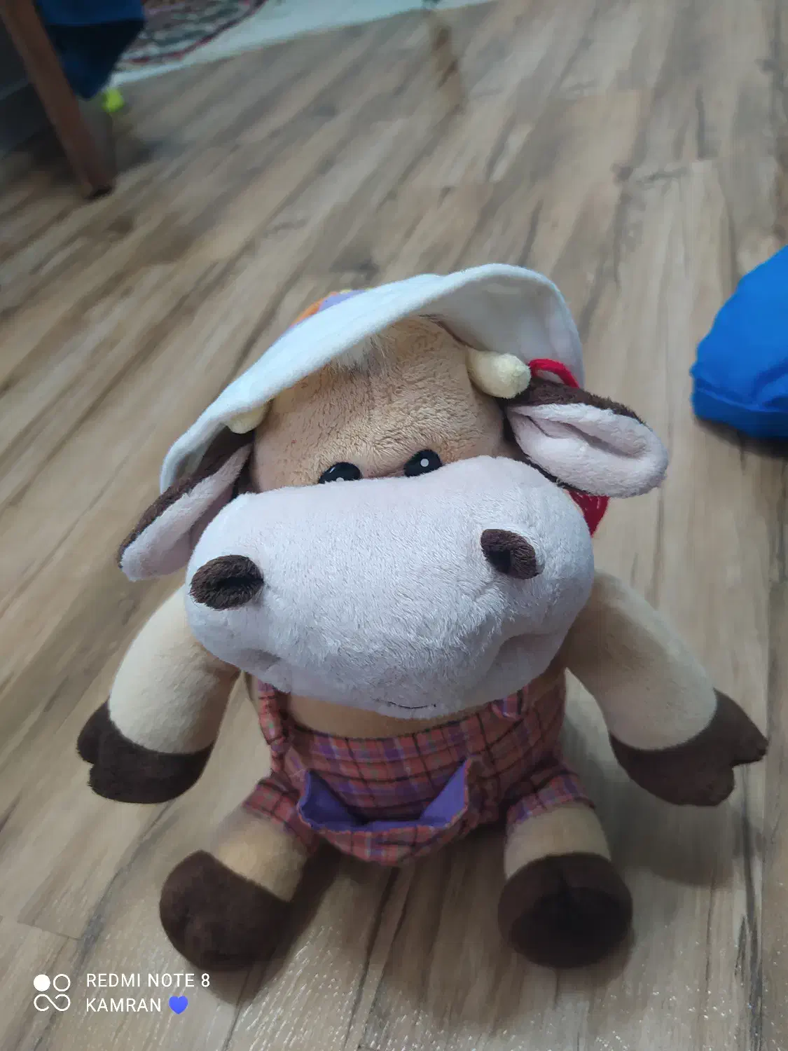 اسباب بازی و عروسک|اسباب‌‌بازی|رشت, دباغیان|دیوار