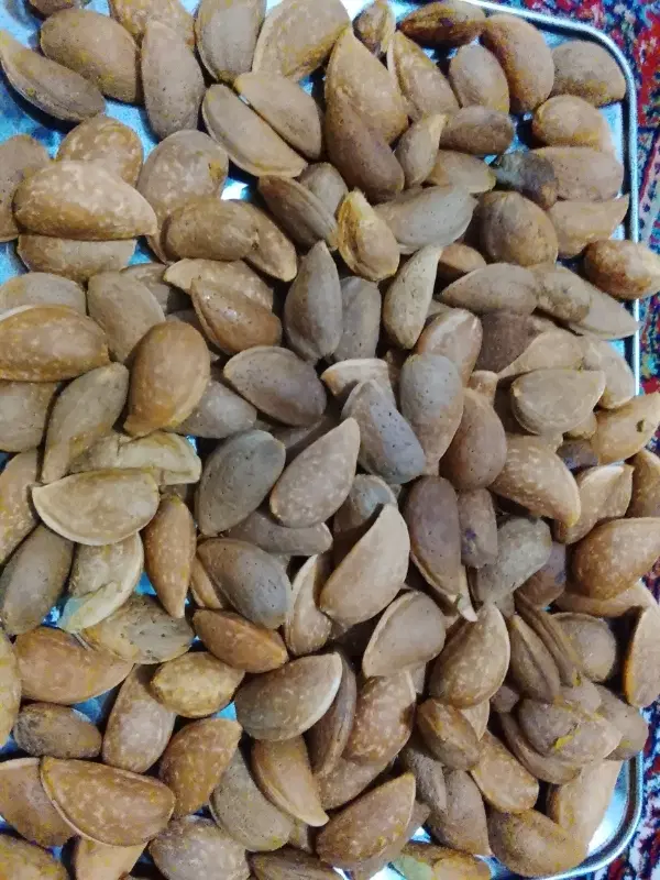 گردو|خوردنی و آشامیدنی|زنجان, |دیوار